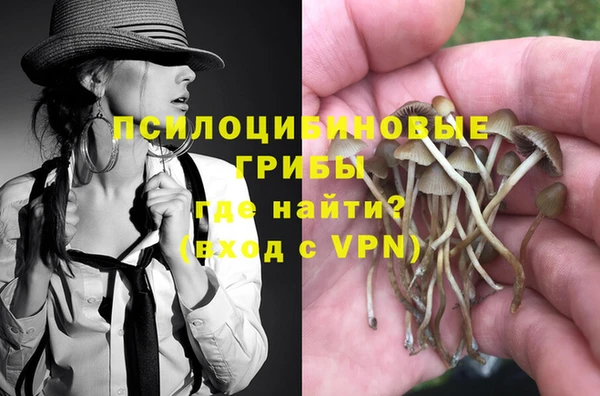 трава Горняк