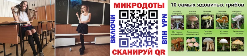Галлюциногенные грибы Magic Shrooms  цены наркотик  дарк нет наркотические препараты  Чебоксары 